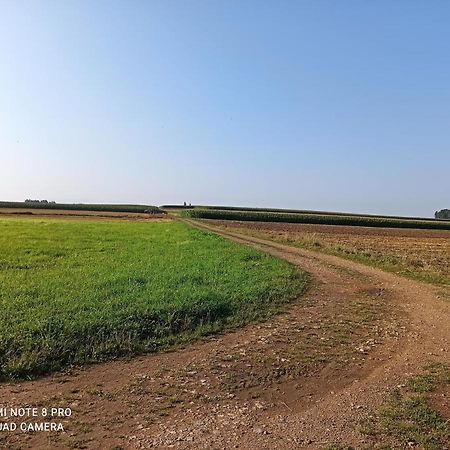 Dom Z Ogrodem Villa Laka  ภายนอก รูปภาพ