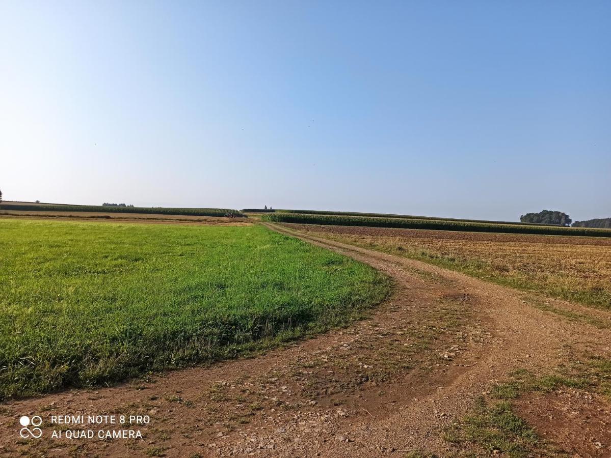 Dom Z Ogrodem Villa Laka  ภายนอก รูปภาพ